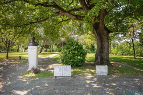 Following the Bebler’s Trail